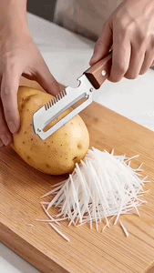 Premium Stainless Steel Vegetable & Fruit Peeler